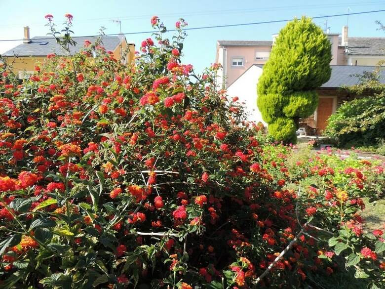 Agroturismo Casa Brais