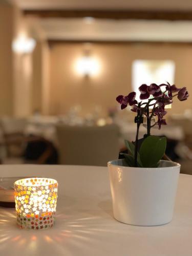 Hotel Logis La Demeure De Gr�ne