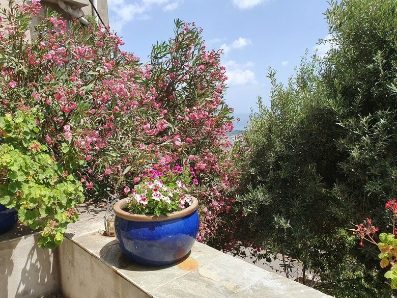 Apartamento Fior Et Andrea