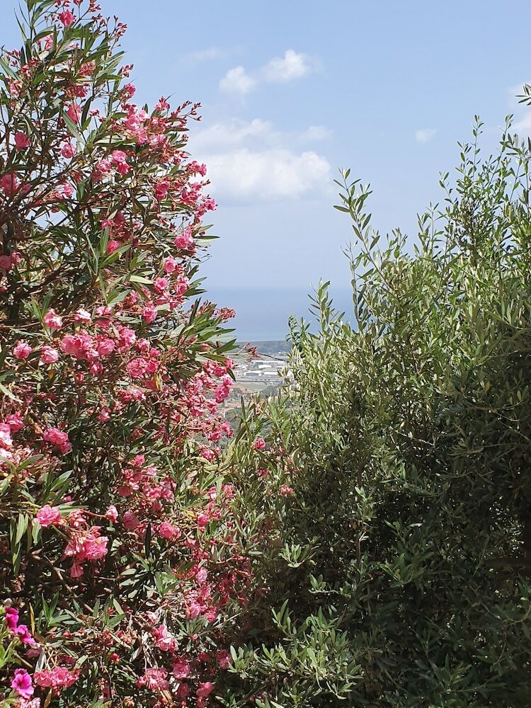 Apartamento Fior Et Andrea