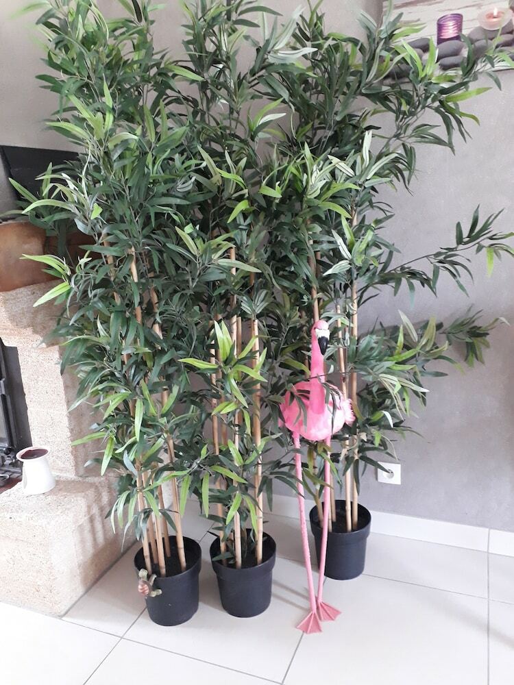 Hotel Les Chambres D'hotes Pastelle