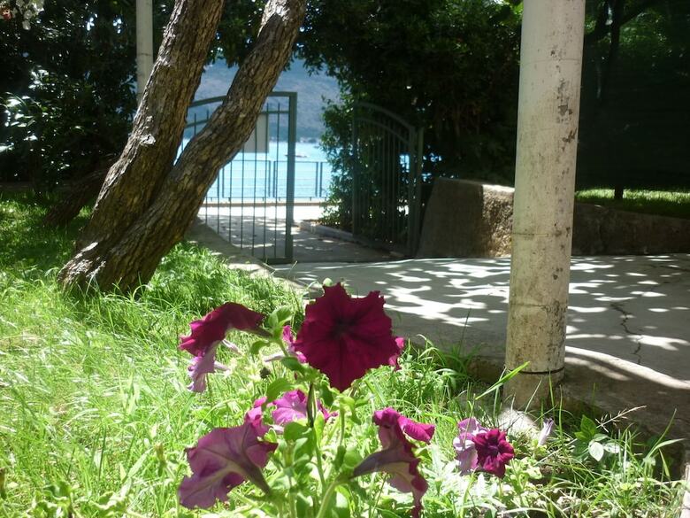 Hotel Vila Kamelija