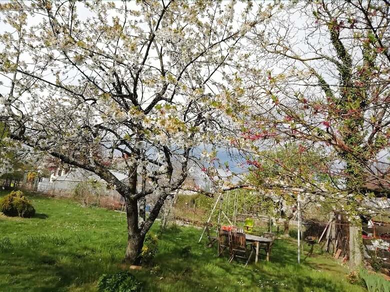 Bed & Breakfast Chez Patou - Chambre D'h�te