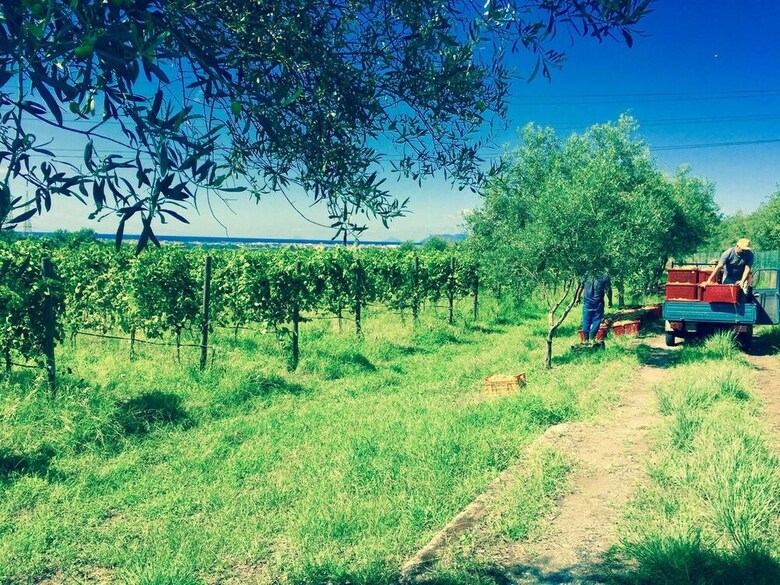 Agroturismo Agriturismo Fontanelle