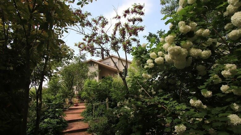 Bed & Breakfast La Casa Nel Bosco