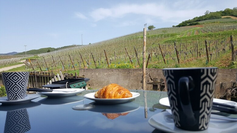 Apartamento Aux Pieds Des Vignes - Studio - 4 Pers