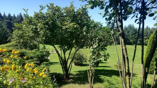 Bed & Breakfast La Crois�e Des Fleurs