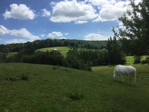 Bed & Breakfast Chambre D'h�te La Roseraie