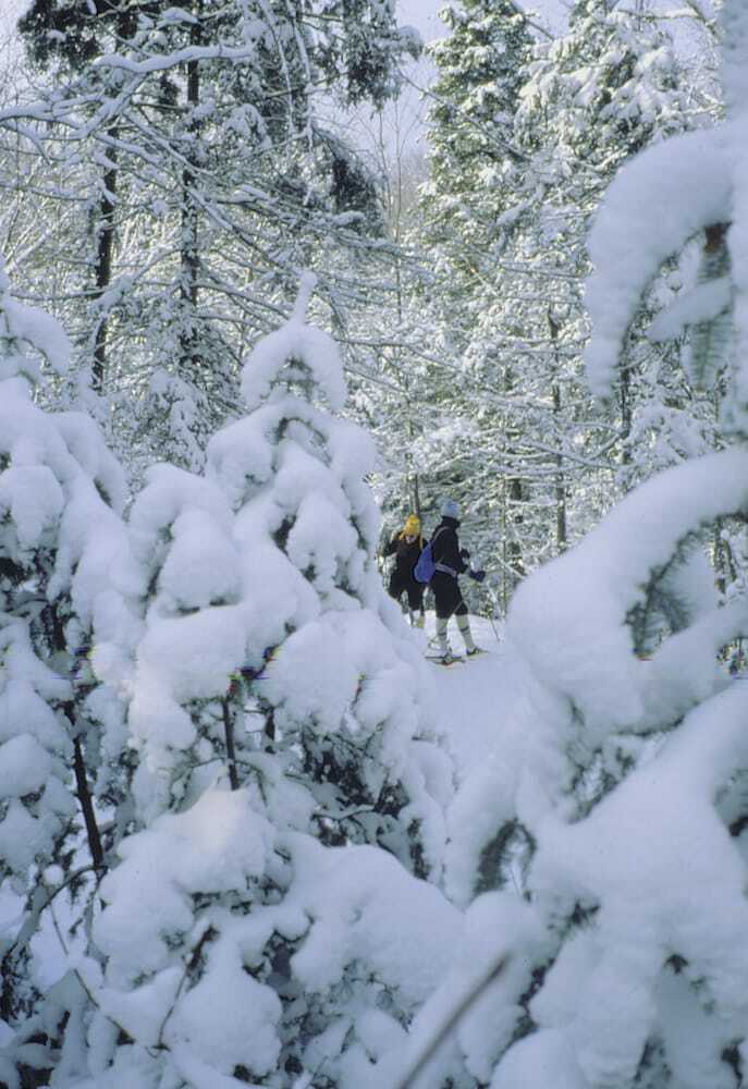 Posada Le Cedar Lodge