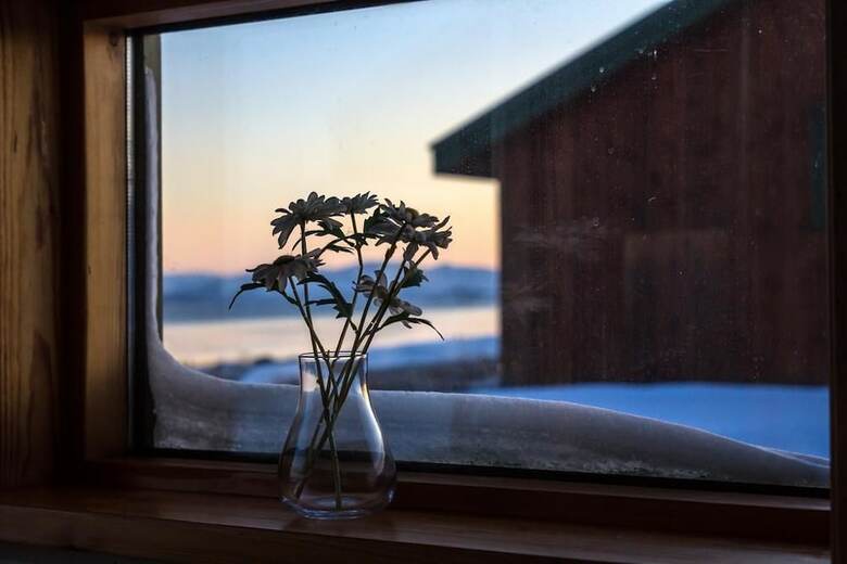 Lake Thingvellir Cottages