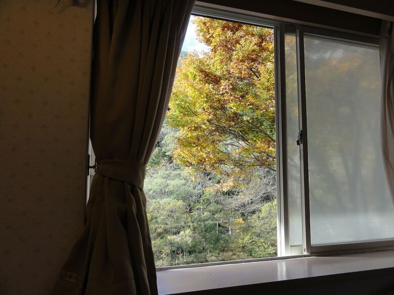 Hotel Tanigawadake Raspberry Youth Hostel