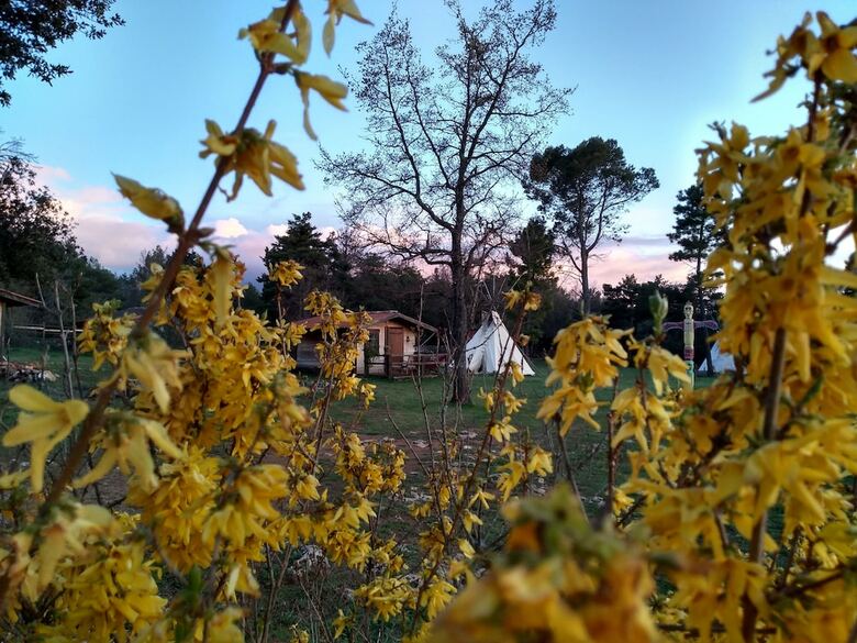 Hotel Les Cabanes de Riquier