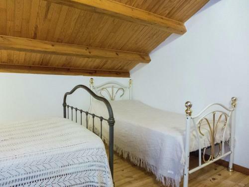 Entre Rivi�re Et For�t En Auvergne