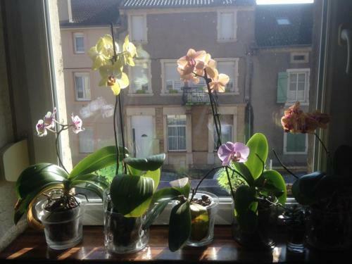 Bed & Breakfast Bienvenue Chez Nous