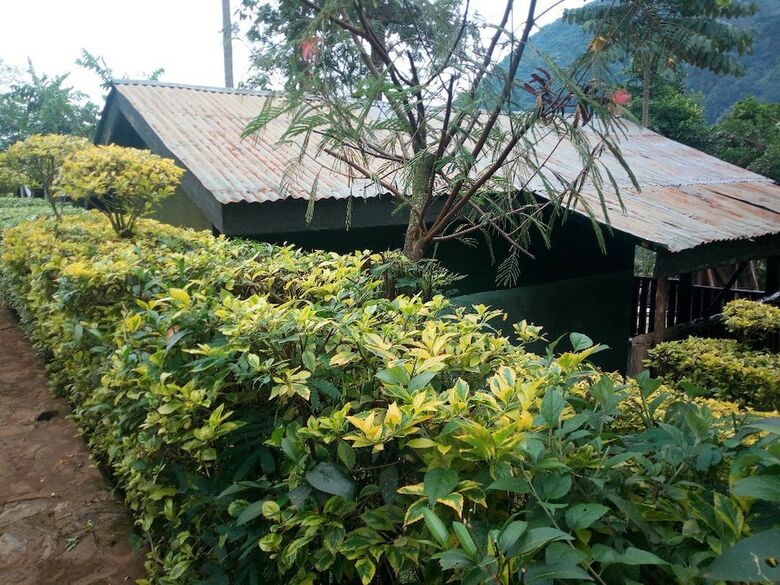 Posada Bwindi View Lodge & Camp Site