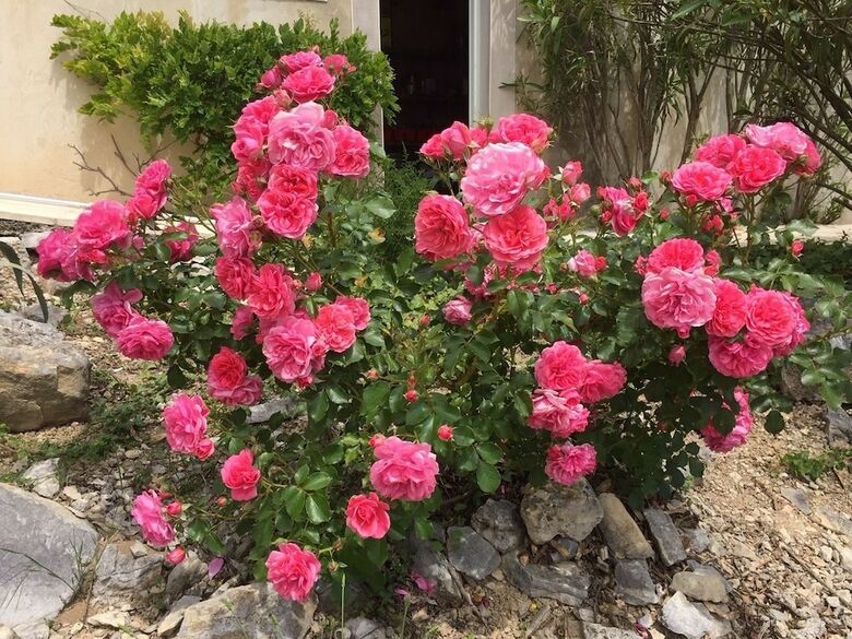 Hotel Bastide Saint-thom�