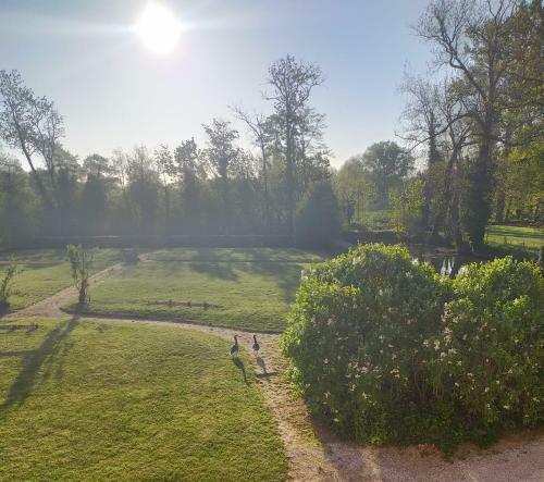 Bed & Breakfast Ch�teau De La Venerie
