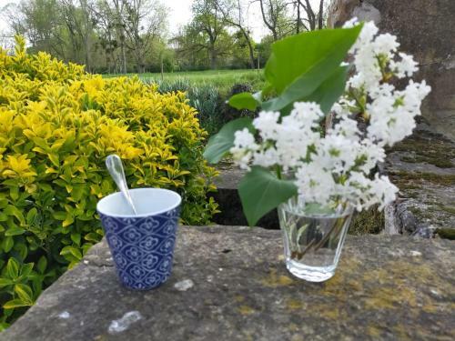 Bed & Breakfast Ch�teau De La Venerie