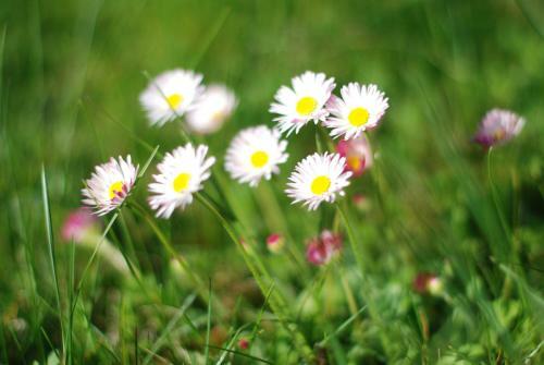 G�te Les Deux H�tres