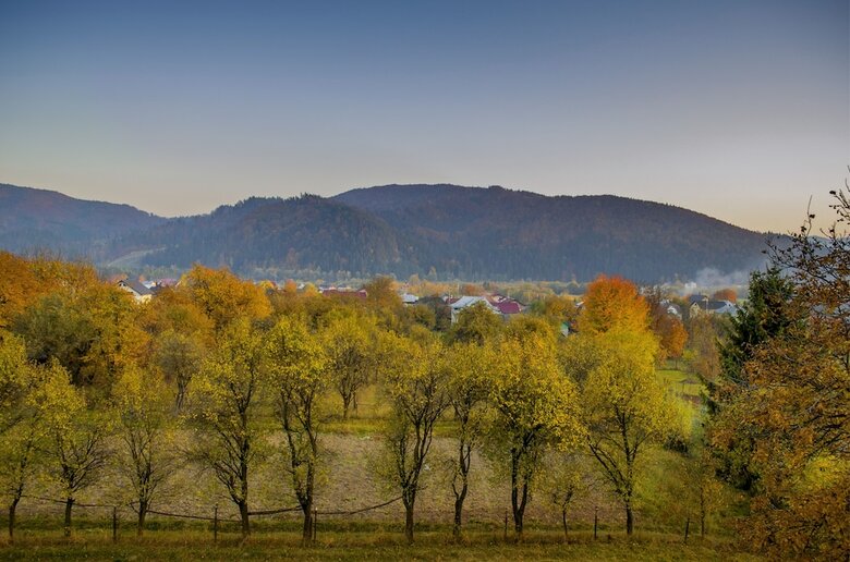 Hotel Bucovina Residence