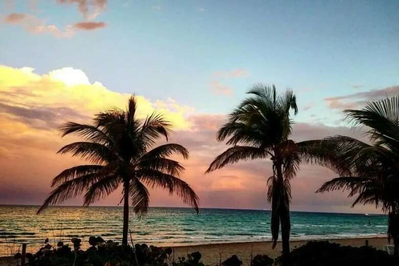 Beautiful Cozy 1br Apartment Walk From The Ocean!