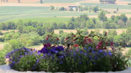 Bed & Breakfast Domaine Gajolles