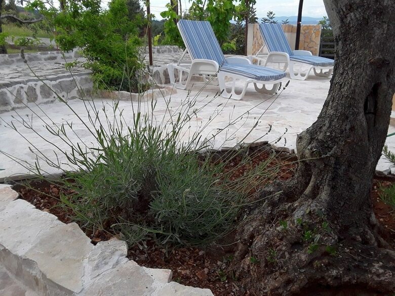 Agroturismo Villa Volga / Apartment Three Bedrooms