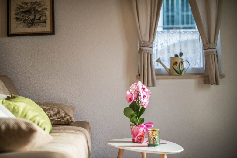 Holiday Home Ana Bubani