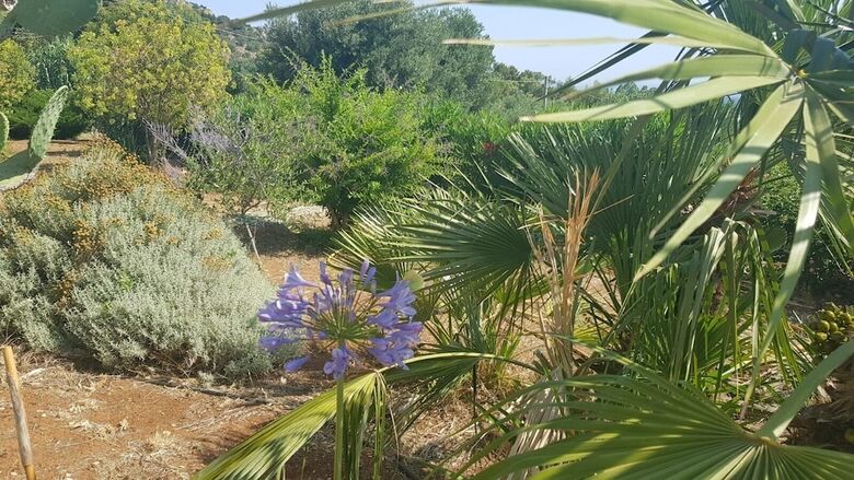 Guest House B&B Pietra Bianca