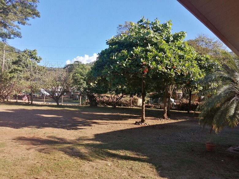 Las Quintas Monkey Lookout & Rural House