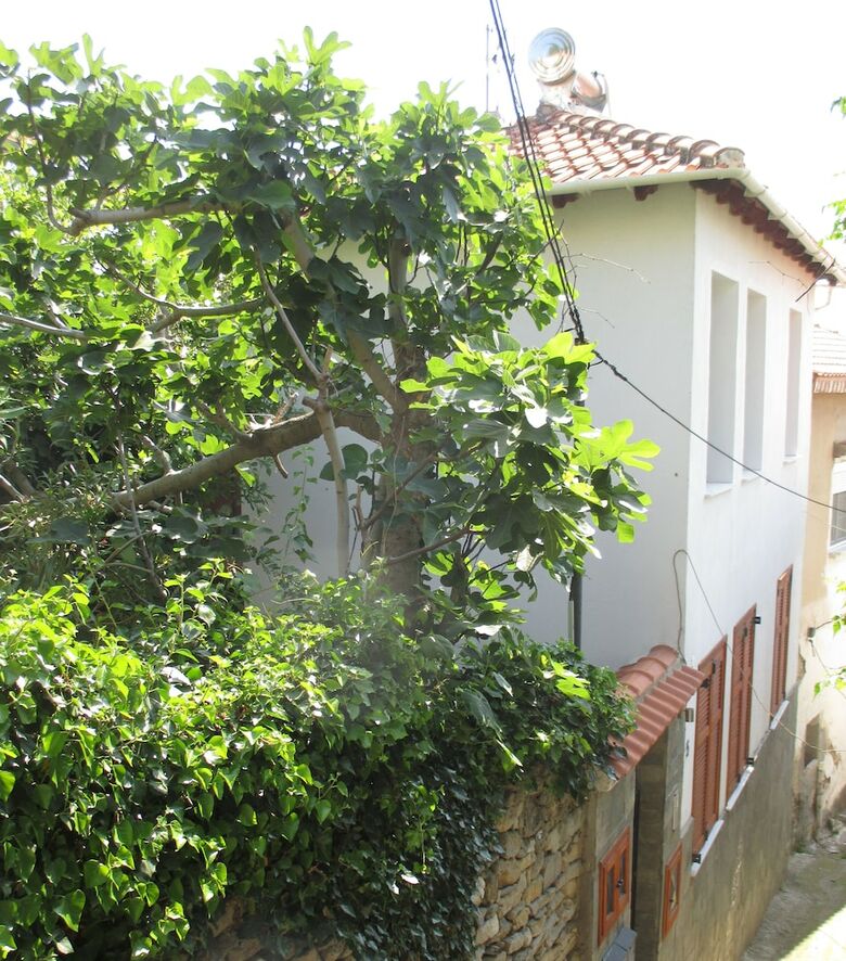 Castle Home Apartments