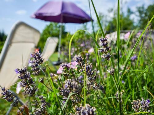 Villa Entre Cahors Et Souillac Dans Le Lot
