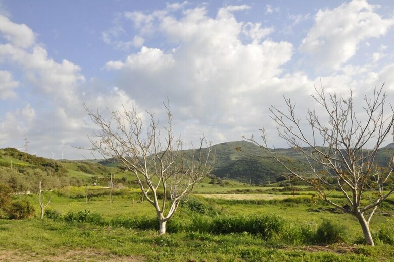 Agroturismo Agriturismo Sa Tanca Noa