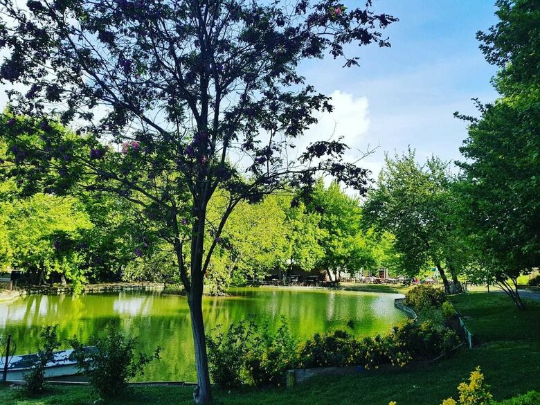 Hotel Naturla Gol Evi