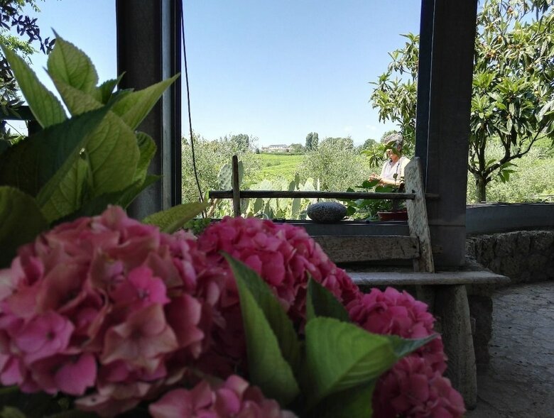 Bed & Breakfast Il Giuggiolo