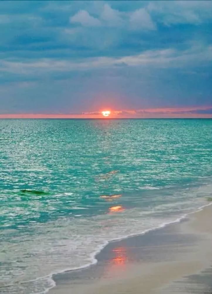 Amazing 1br Apartment With Pool, Hallandale Beach!