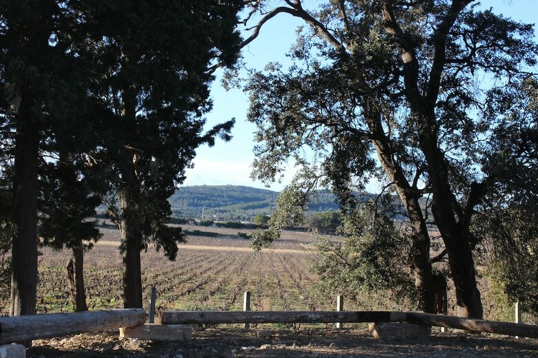 Bed & Breakfast Domaine de Selhac