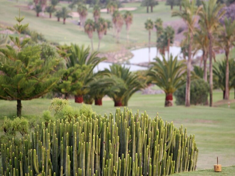 Salobre Villa Las Terrazas 14