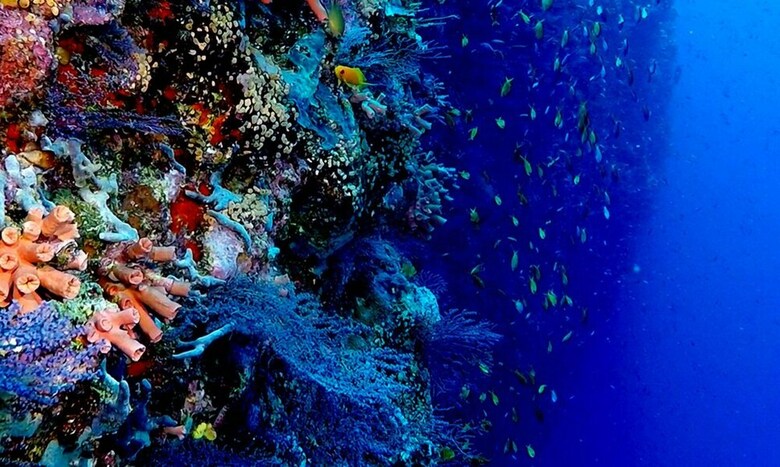 Hotel Aquaventure Manta Lodge - Scuba Divers