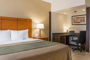 Hotel Comfort Inn Metro Airport