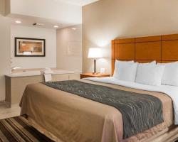 Hotel Comfort Inn Metro Airport