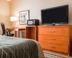 Hotel Comfort Inn Metro Airport