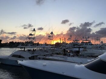 Hotel Bahia Mar Beach Resort