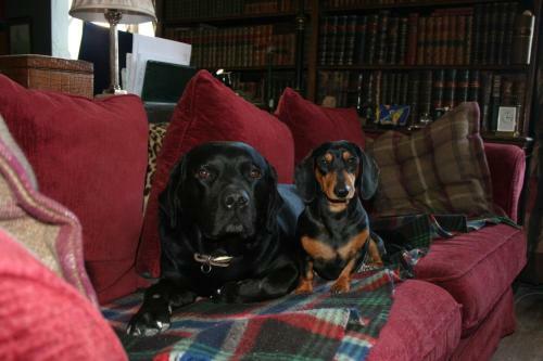 Bed & Breakfast Manoir Le Bigourda