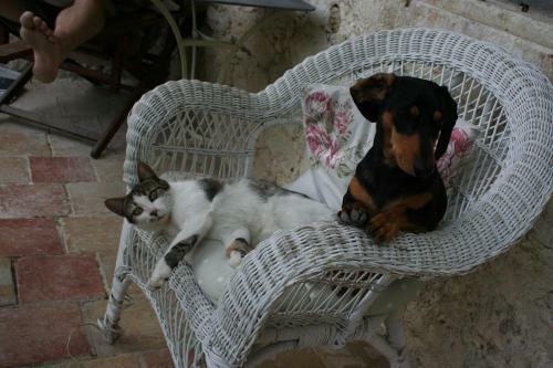 Bed & Breakfast Manoir Le Bigourda