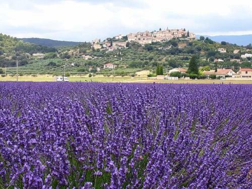 Bed & Breakfast Maison D'h�tes Le Jas Vieux