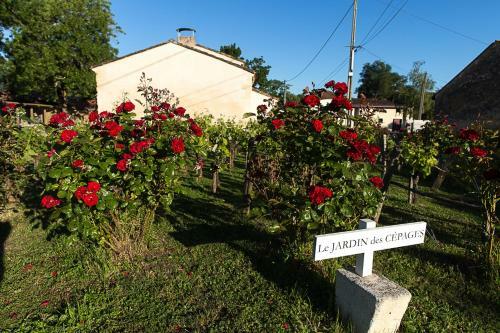 Hostal Les Cinq Sens Du Ch�teau Mayne Lalande