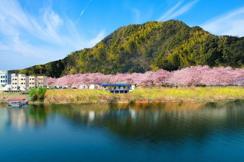 Nami Island Rivermoon Spa Pension
