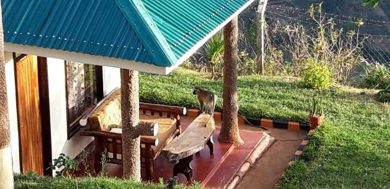 Posada Rafiki Lodge Sipi