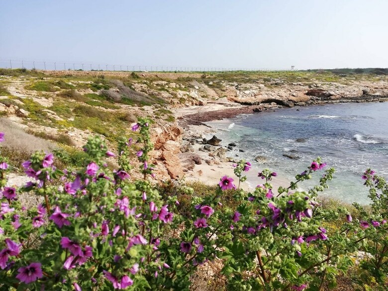 Bed & Breakfast Plaza